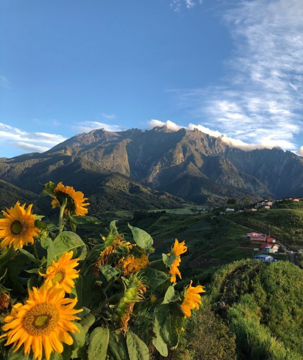 5 Best Hiking Trails And Nearby Attractions In Kundasang