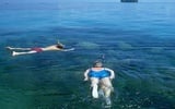 Thumbnail:  1 Day Semporna Islands Visit - Mataking, Timba-Timba & Pom-Pom Islands Hopping (Snorkeling/Diving)