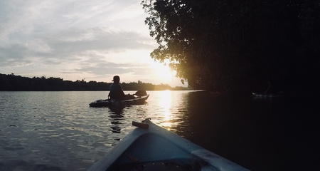 Sipadan Mangrove Kayaking Safari Adventure - SabahTravel