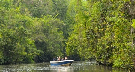 Kawa Kawa River Cruise (Admission Ticket) - SabahTravel