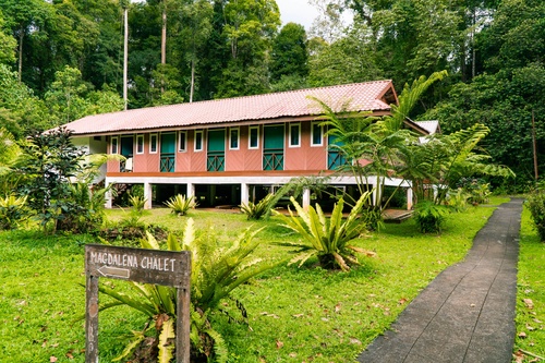 3D2N Tawau Hills Park & Borneo Wildlife Tour