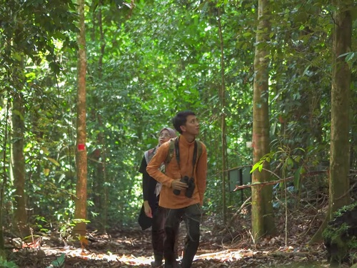 3D2N Borneo Natural Sukau Bilit Resort