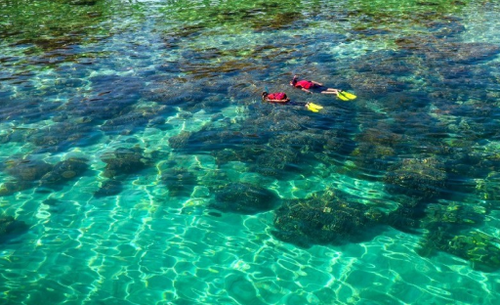 Mataking, Timba-Timba & Pom Pom Islands: Snorkeling & Diving Adventure