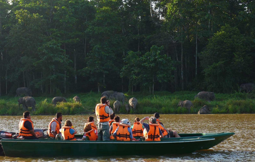 3D2N Borneo Natural Sukau Bilit Resort