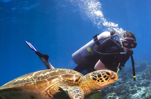 4D3N Semporna Snorkeling & Diving With Bohey Dulang Hike