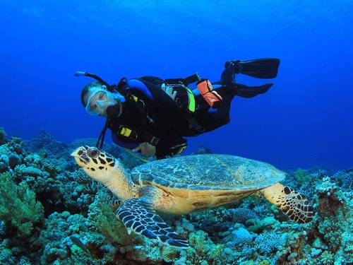 Mataking, Timba-Timba & Pom Pom Islands: Snorkeling & Diving Adventure