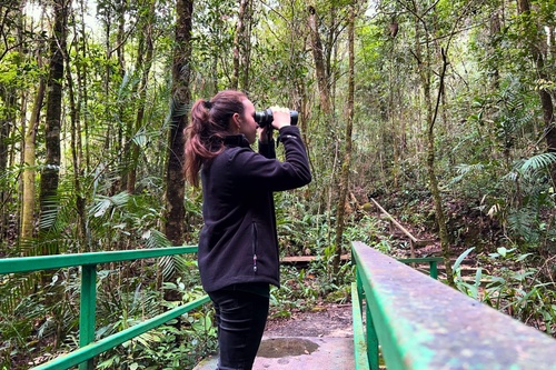 Sutera Sanctuary Lodges at Kinabalu Park HQ