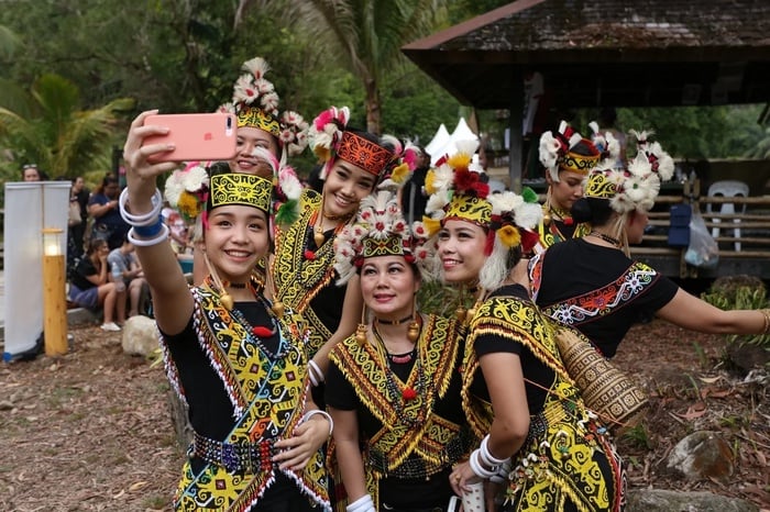 Rainforest World Music Festival 2025