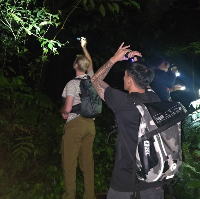 Kinabalu Park Sayap Wildlife and Eco-Adventure