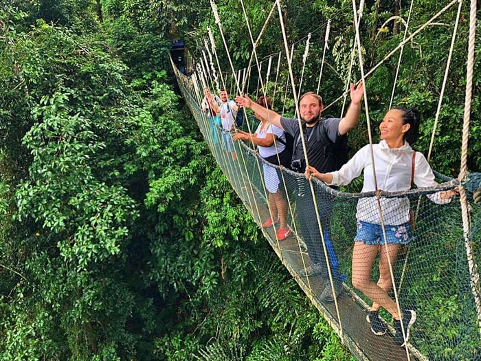 2D1N Kinabalu Park, Poring Canopy Walk & Desa Cow Farm Tour