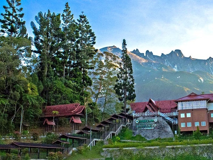 2D1N Kinabalu Park, Poring Canopy Walk & Desa Cow Farm Tour