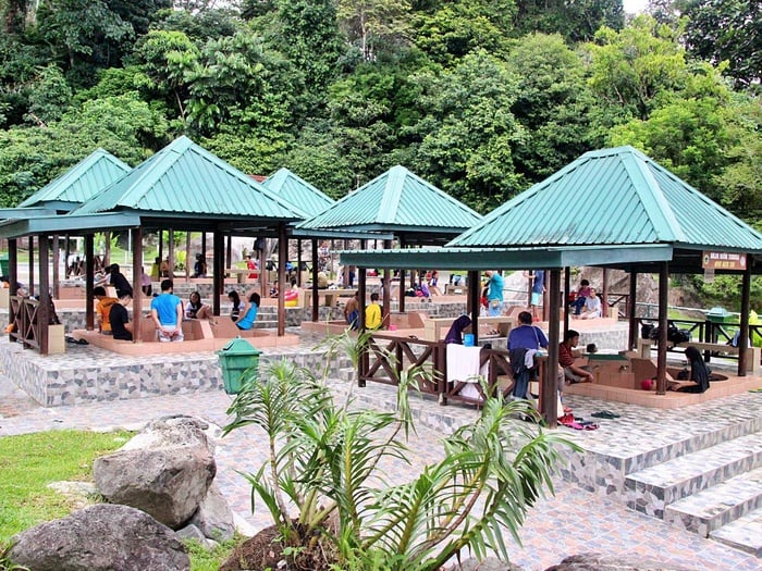 2D1N Kinabalu Park, Poring Canopy Walk & Desa Cow Farm Tour