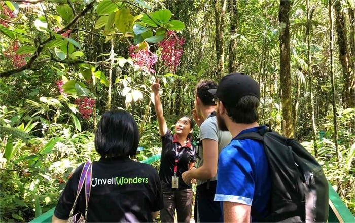 2D1N Kinabalu Park, Poring Canopy Walk & Desa Cow Farm Tour