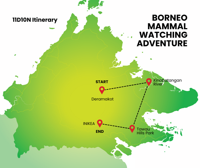 Borneo Mammal Watching Adventure with Wildlife Conservation NGO