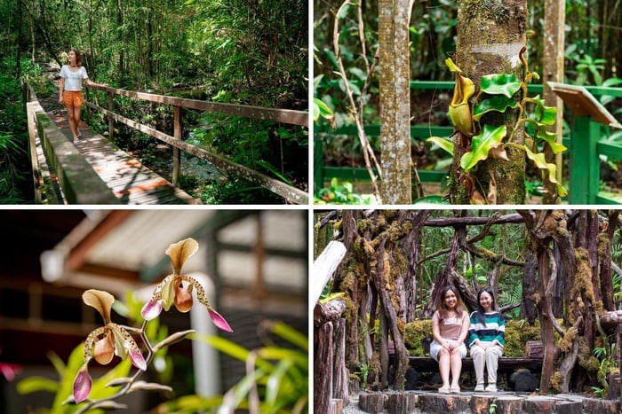Sutera Sanctuary Lodges at Kinabalu Park HQ