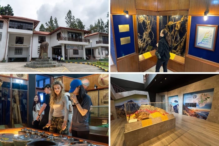 Sutera Sanctuary Lodges at Kinabalu Park HQ