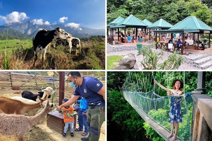 Sutera Sanctuary Lodges at Kinabalu Park HQ