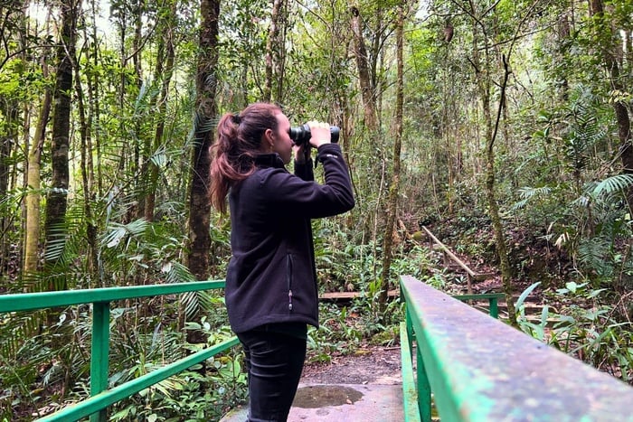 Sutera Sanctuary Lodges at Kinabalu Park HQ