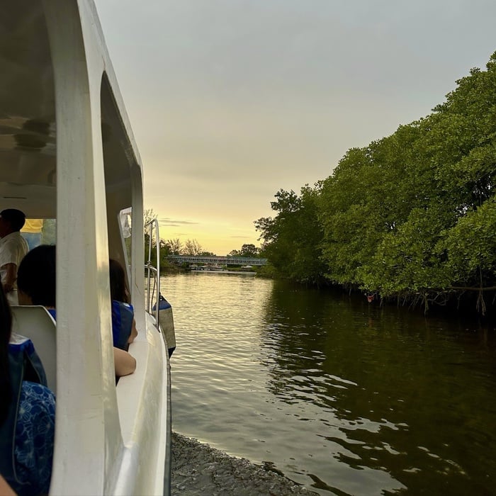 Brighton Bay River Cruise & Fireflies (Kinarut)