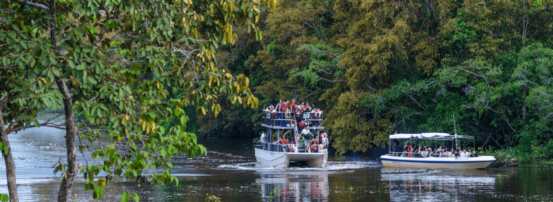 Open-deck boat for a better wildlife sighting experience at Klias river cruise