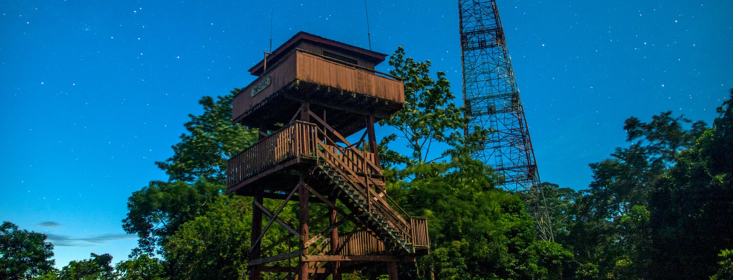 Observation platform for birdwatching and wildlife sighting at Danum Valley Field Centre