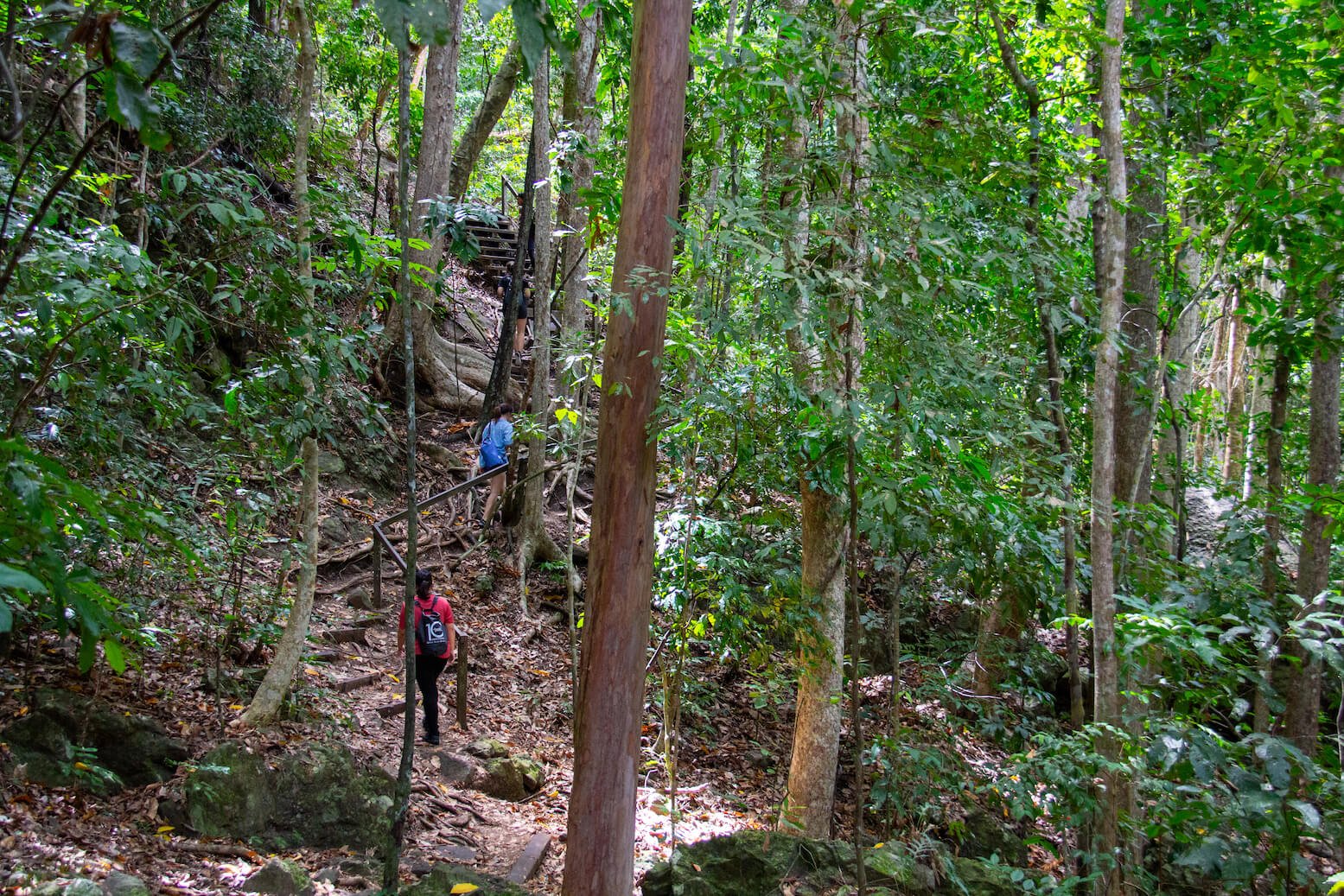 Hike to the peak of Bohey Dulang to get a better view of Semporna's islands.