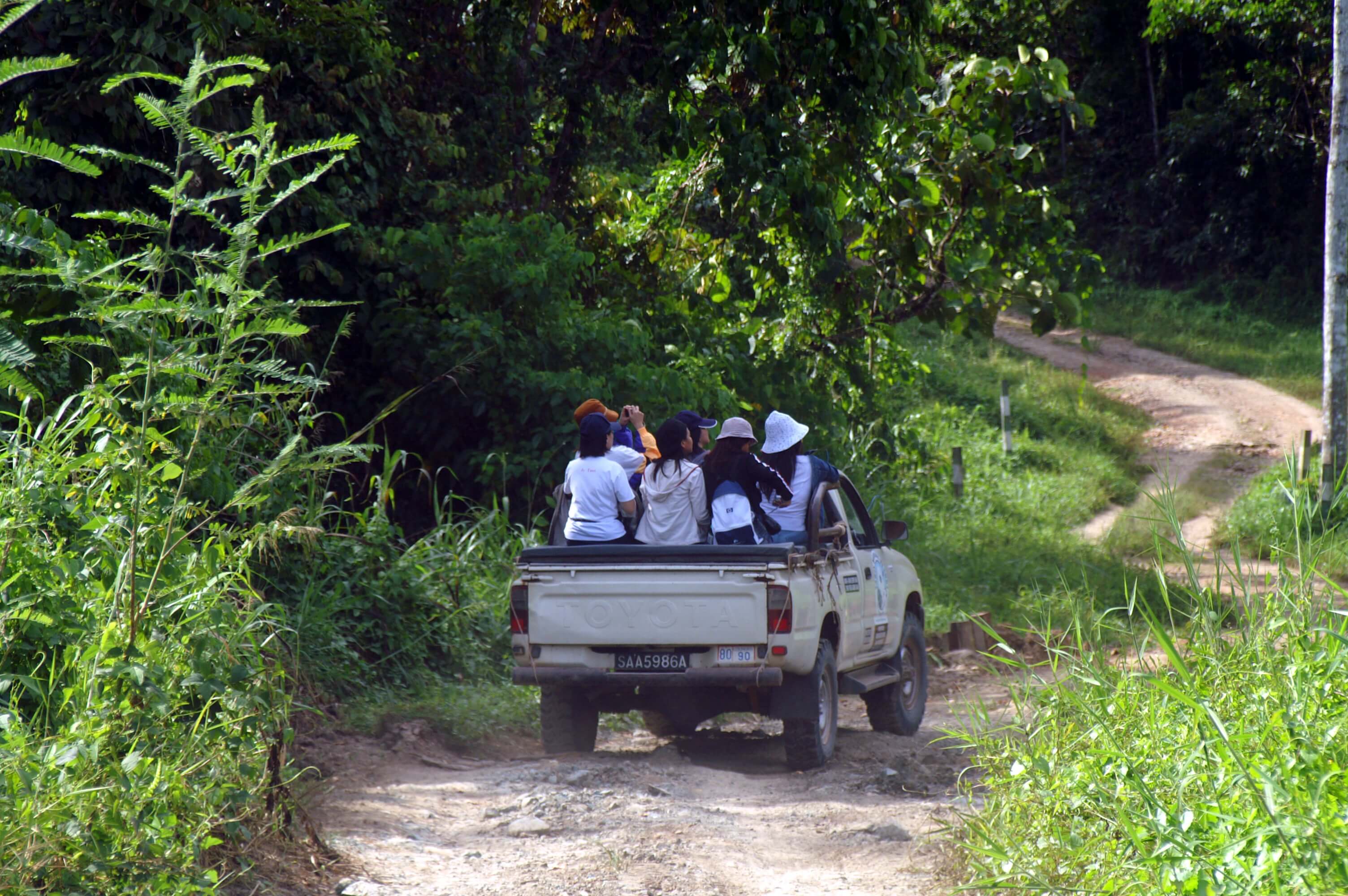 Guided 4-wheeled drive into Tabin Wildlife Reserve in search of Borneo's diverse flora and fauna.