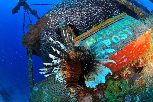 The first "Underwater Post Office" in Malaysia where you can dive underwater and mail your postcard. Photo Credits: https://www.mataking.com/en/underwater-post-office/
