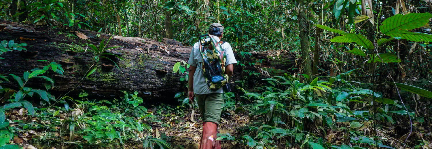 Trekking activity is definitely a must when visiting Danum Valley