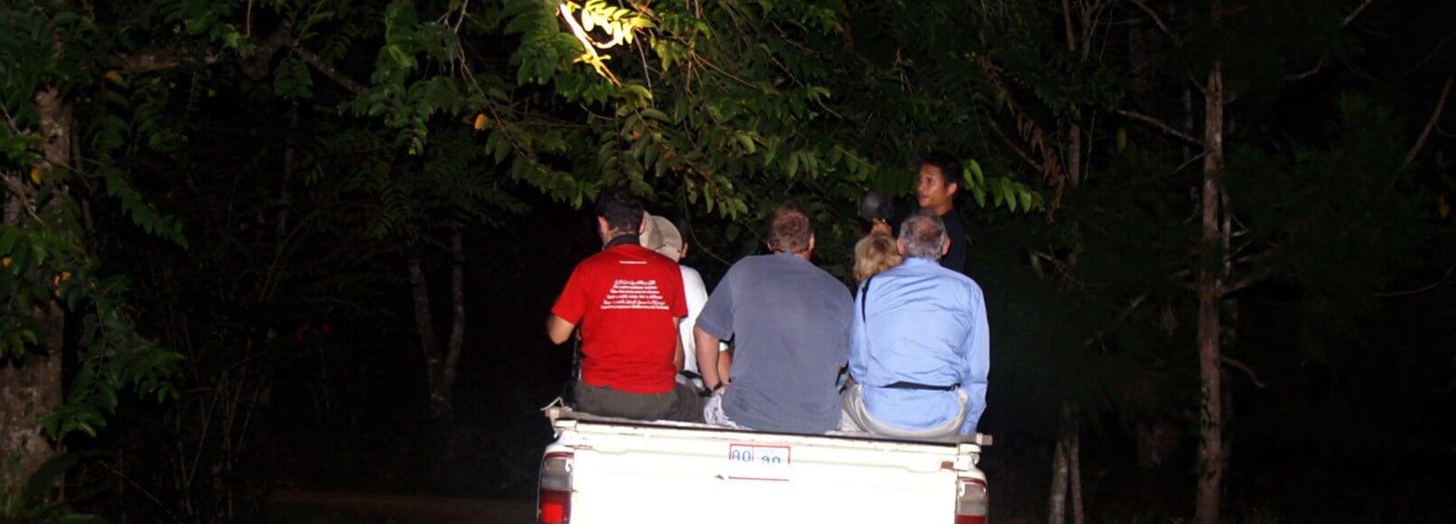 Guided night drive in search of nocturnal animals
