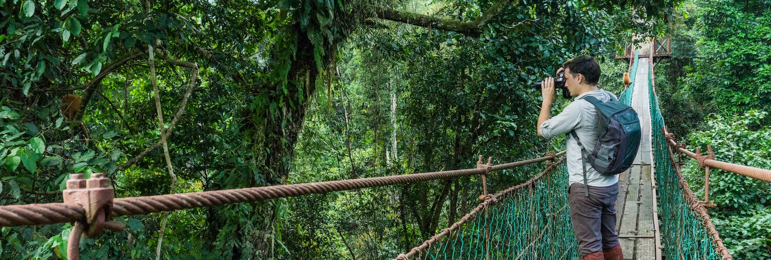 A treetop walkway to get a better view of Borneo's wildlife in the forest reserve.