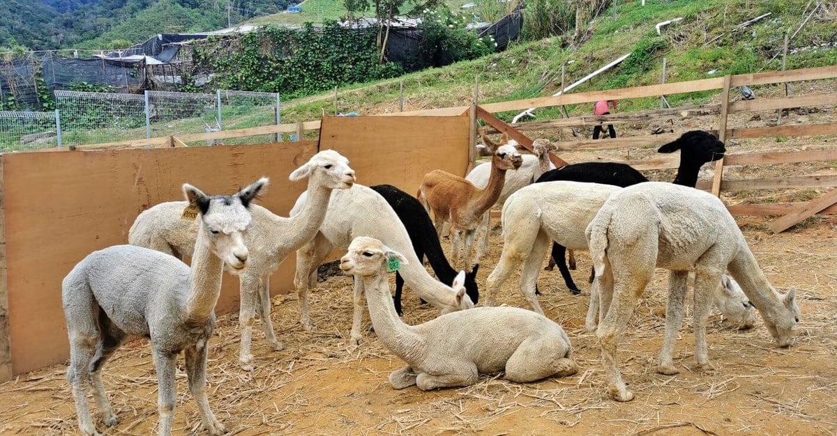 Destination highlight