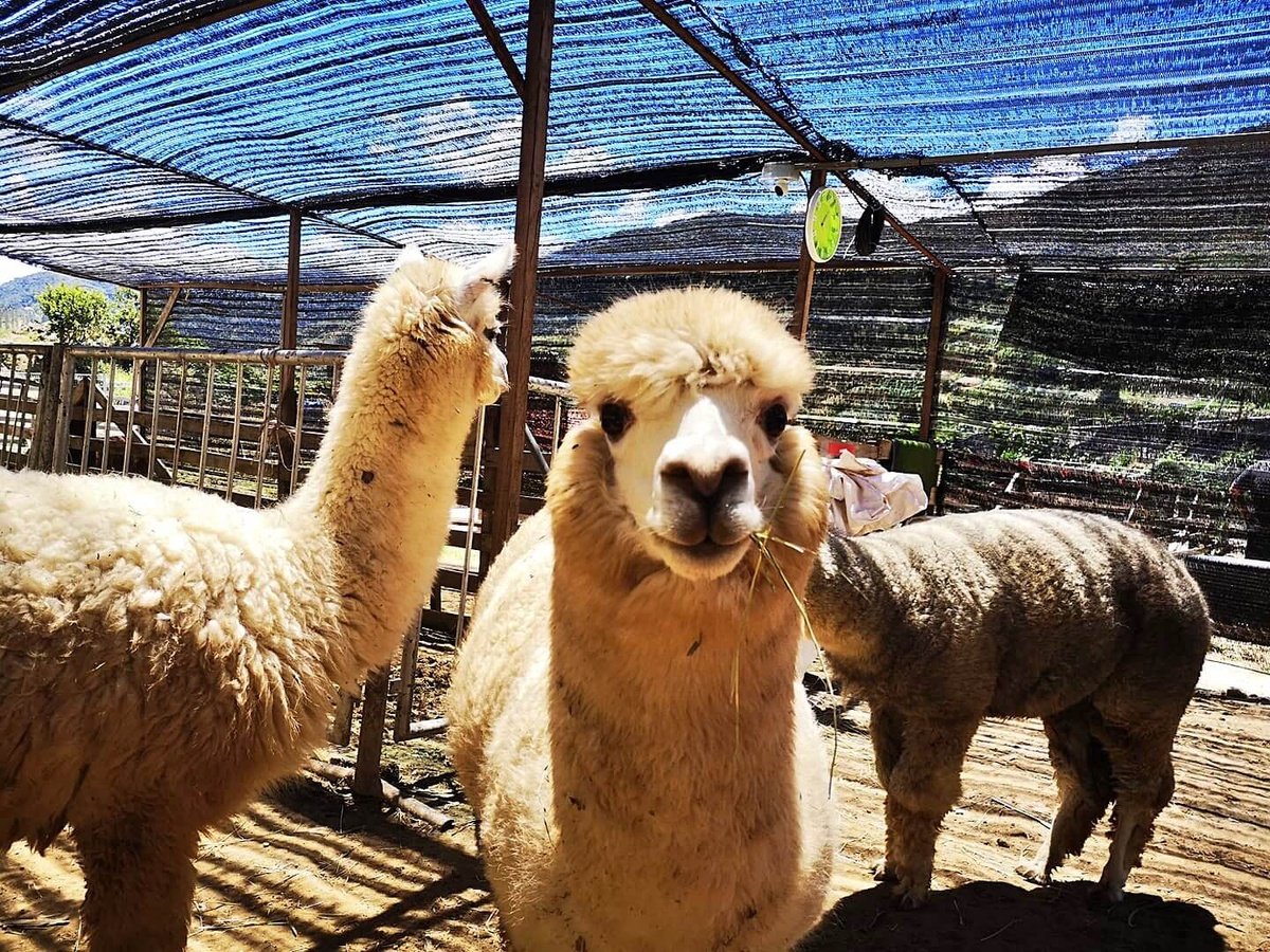 Destination highlight