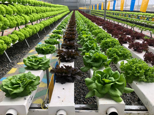 Destination highlight