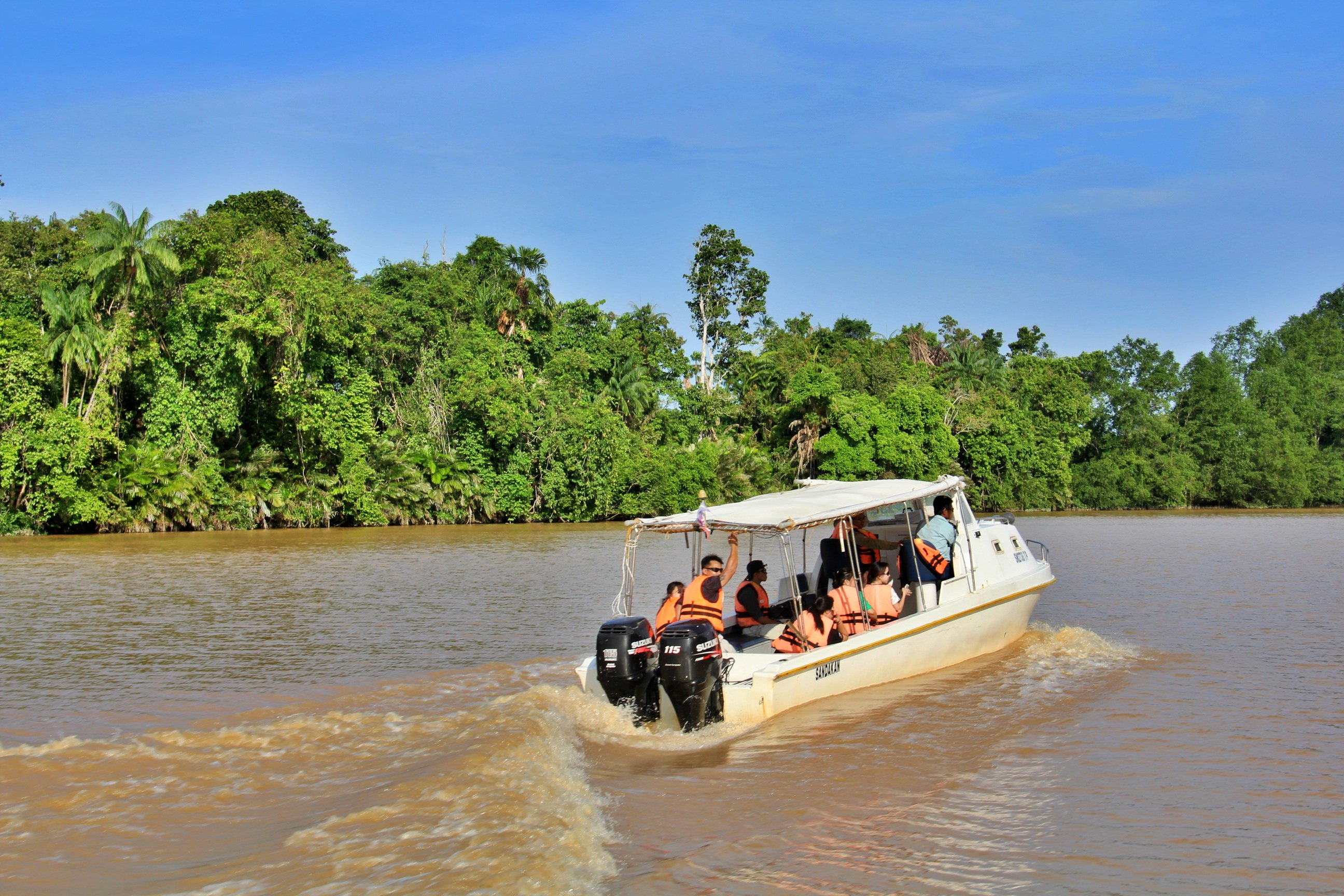 Embark on a wildlife cruise at Kinabatangan River, a natural habitat for Borneo's endemic wildlife such as the Proboscis Monkey and Pygmy Elephant.