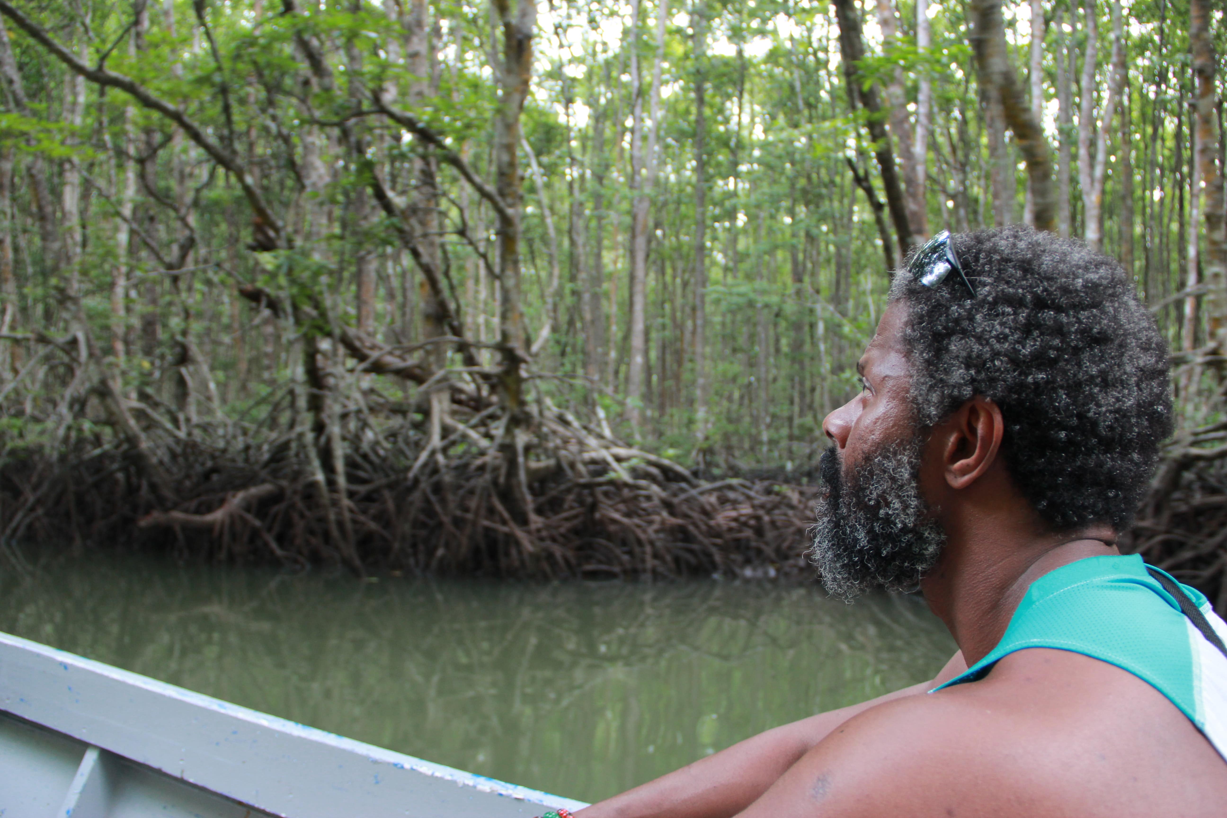 Hop onto the wooden boat and trek through the jungles to explore Tambisan Island's flora and fauna