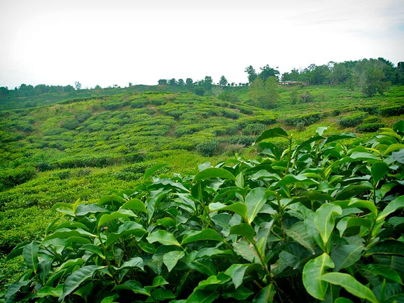 Destination highlight