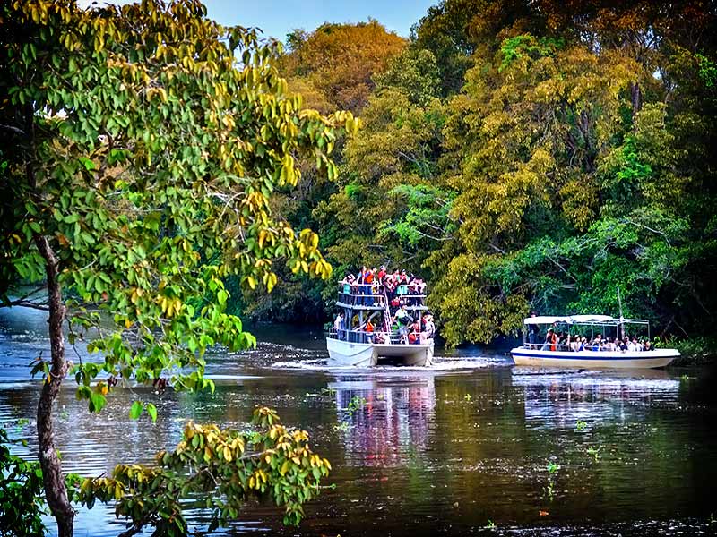 Board into the evening fireflies cruise after your dinner.
