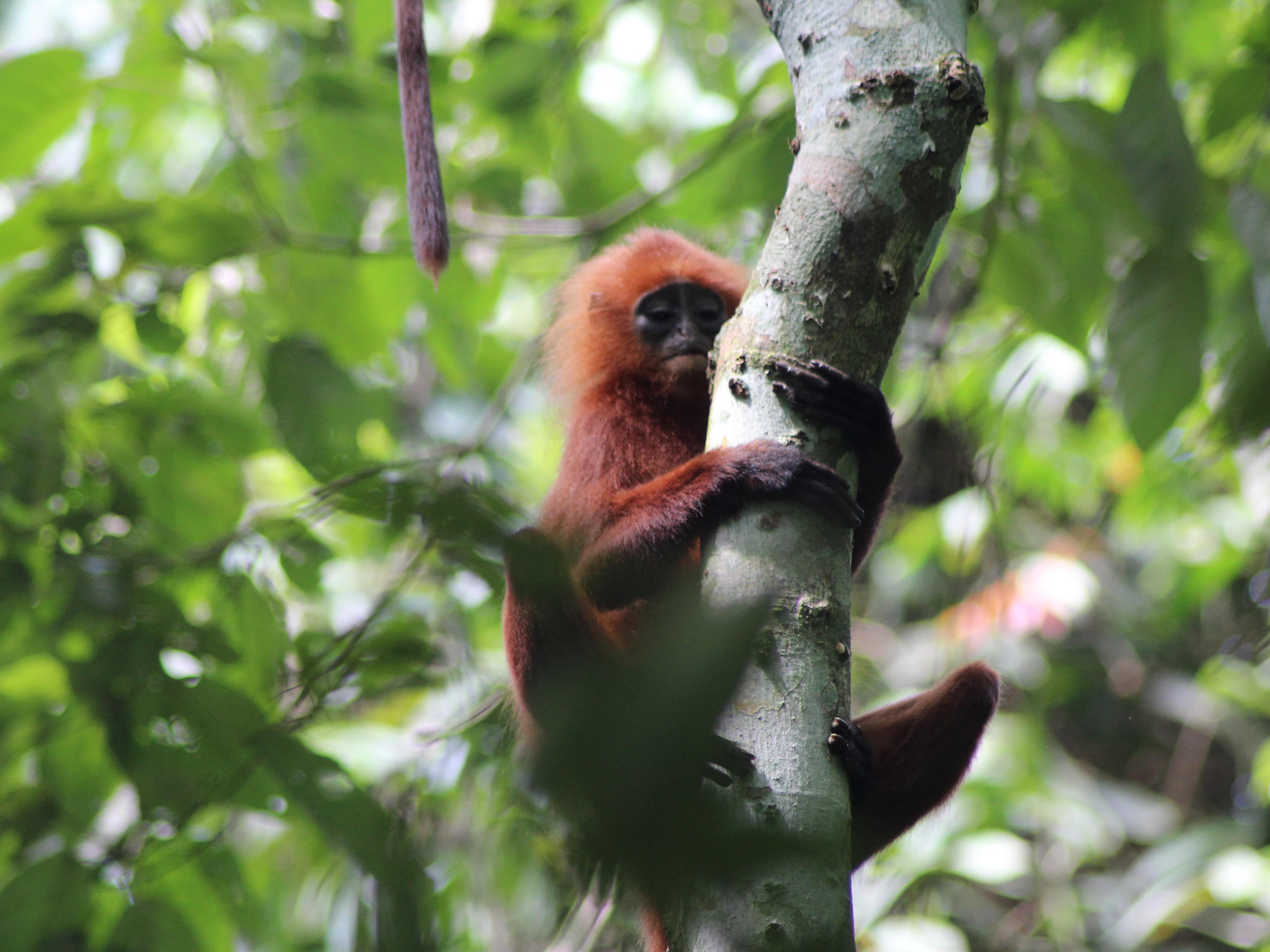 Destination highlight