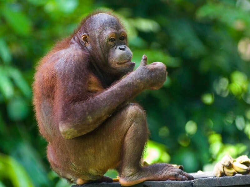 Destination highlight