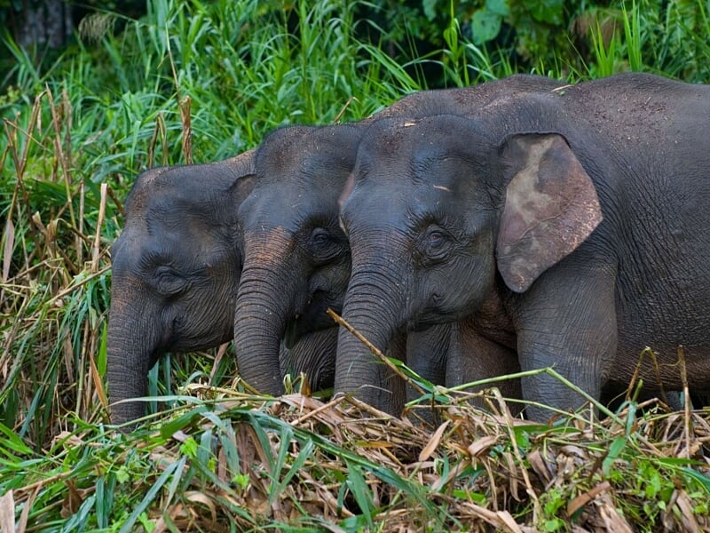 Destination highlight