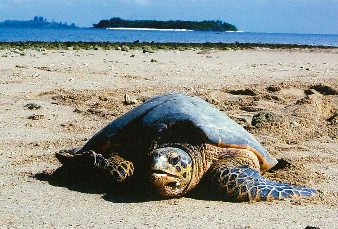 Destination highlight