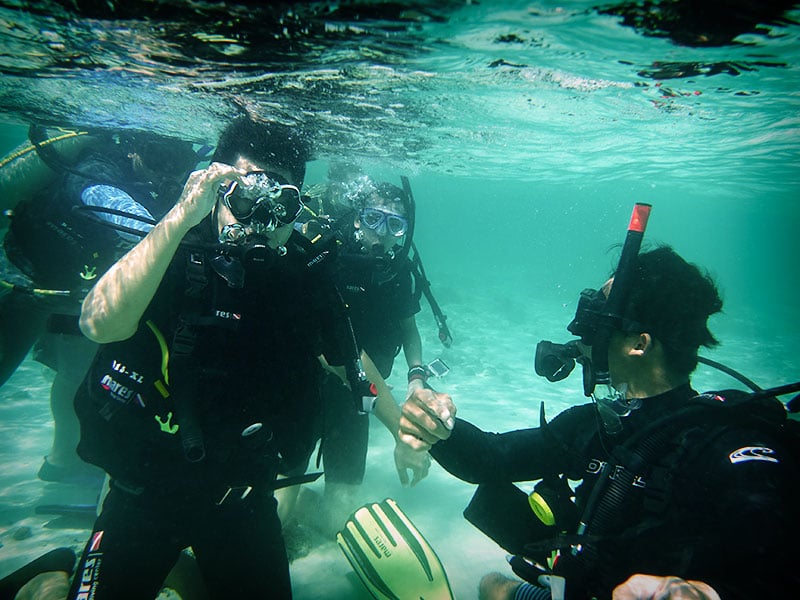 Increase your diving skill and confidence with PADI dive course. Manuals, logbook and certification included.