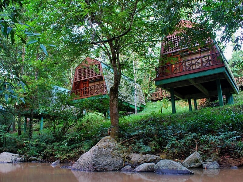 Tabin Wildlife Resort is situated far from the city crowd and surrounded by nature's fresh air