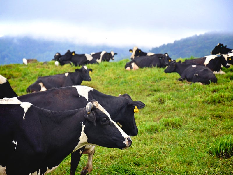 Destination highlight