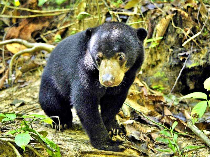 Destination highlight