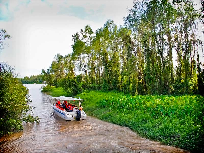 Cruise along the Klias River in search of Borneo's wildlife.