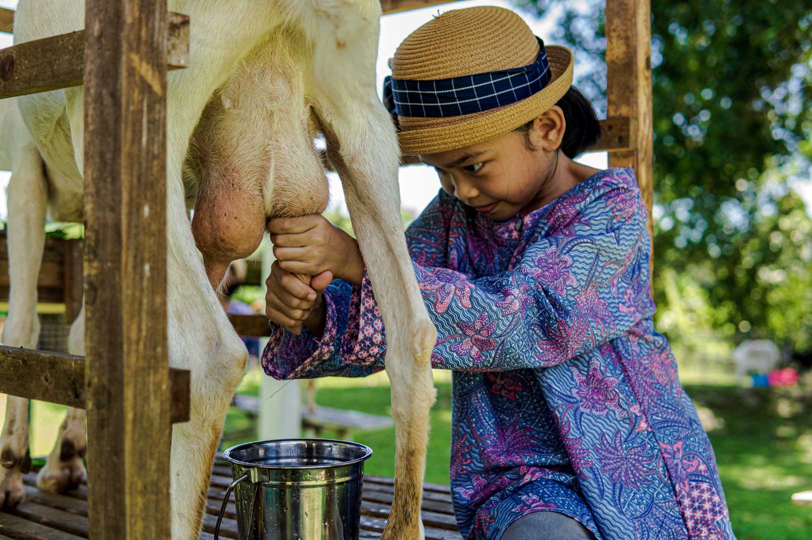 Destination highlight