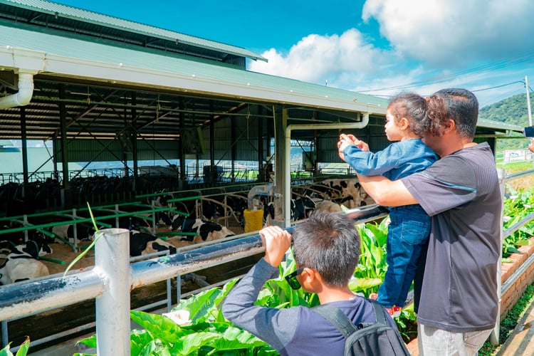 Destination highlight